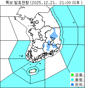 ���Ư�� ��Ȳ