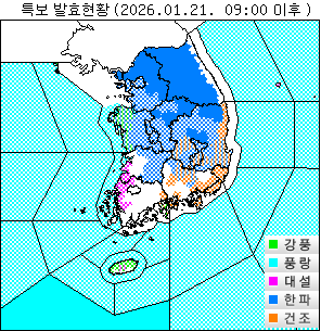 ���Ư�� ��Ȳ