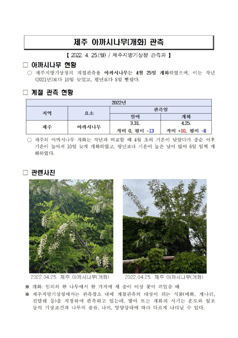 제주 아까시나무(개화) 관측001.jpg
