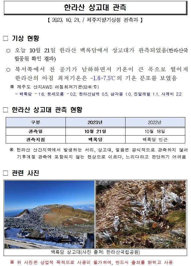 123.JPG
