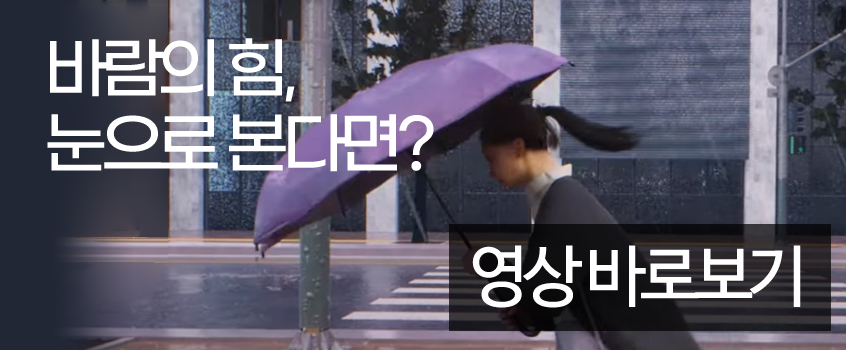 강풍 체감영상, 바람의 힘 눈으로 본다면