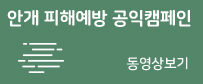 안개 피해예방 공익캠페인