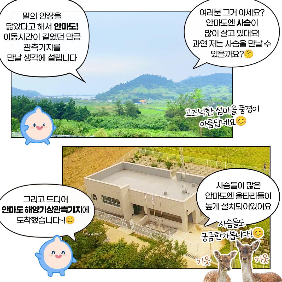 말의 안장을 닮았다고 해서 안마도!이동시간이 길었던 만큼 관측기지를 만날 생각에 설렙니다.여러분 그거 아세요!안마도엔 사슴이 많이 살고 있대요! 과연 저는 사슴을 만날 수 있을까요? 그리고 드디어 안마도 해양기상관측기지에 도착했습니다!, 사슴들이 많은 안마도엔 울타리들이 놓게 설치되어 있어요