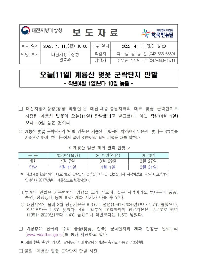 군락지 벚꽃 만발 보도자료_대전청 관측과001.jpg