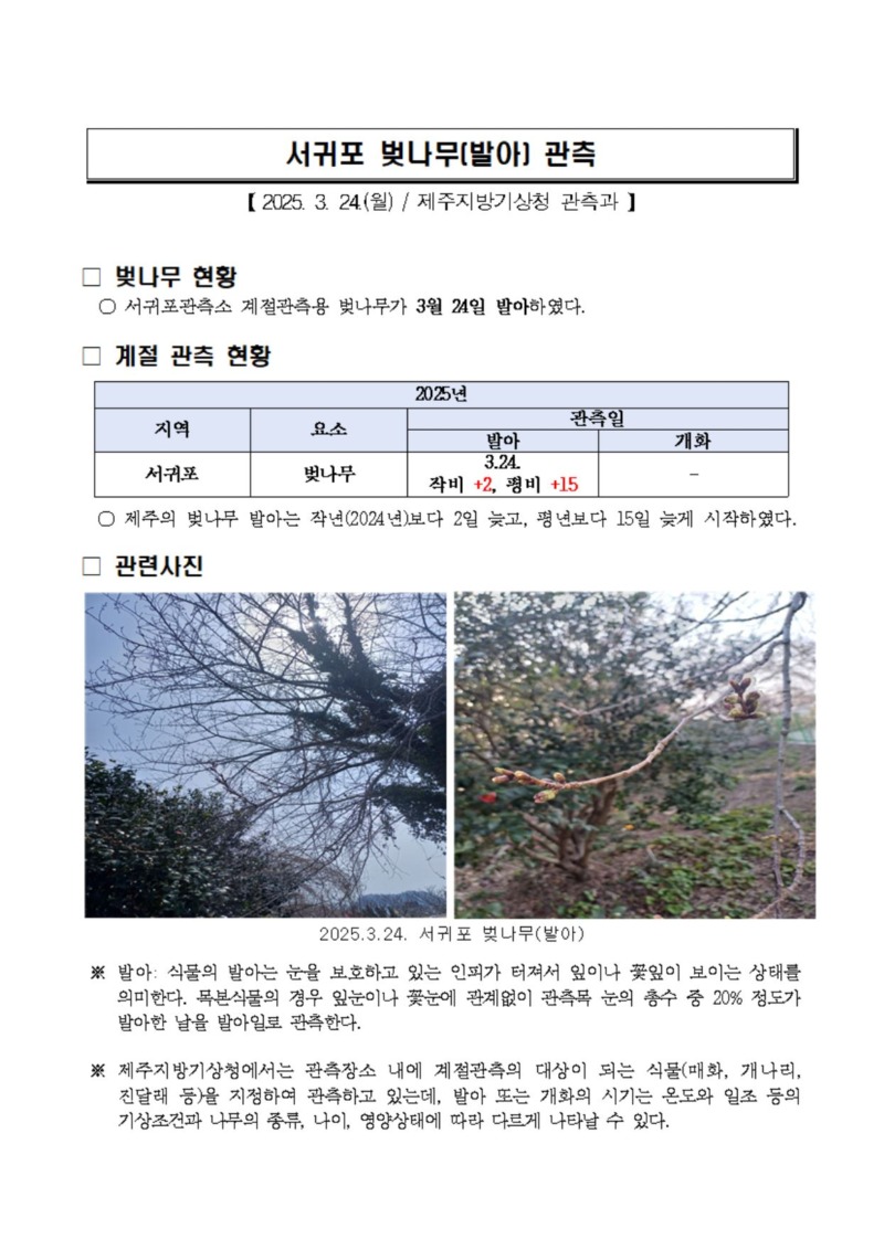 캡처.JPG