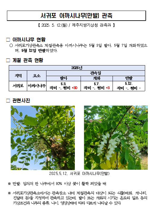 서귀포_아까시(만발).png