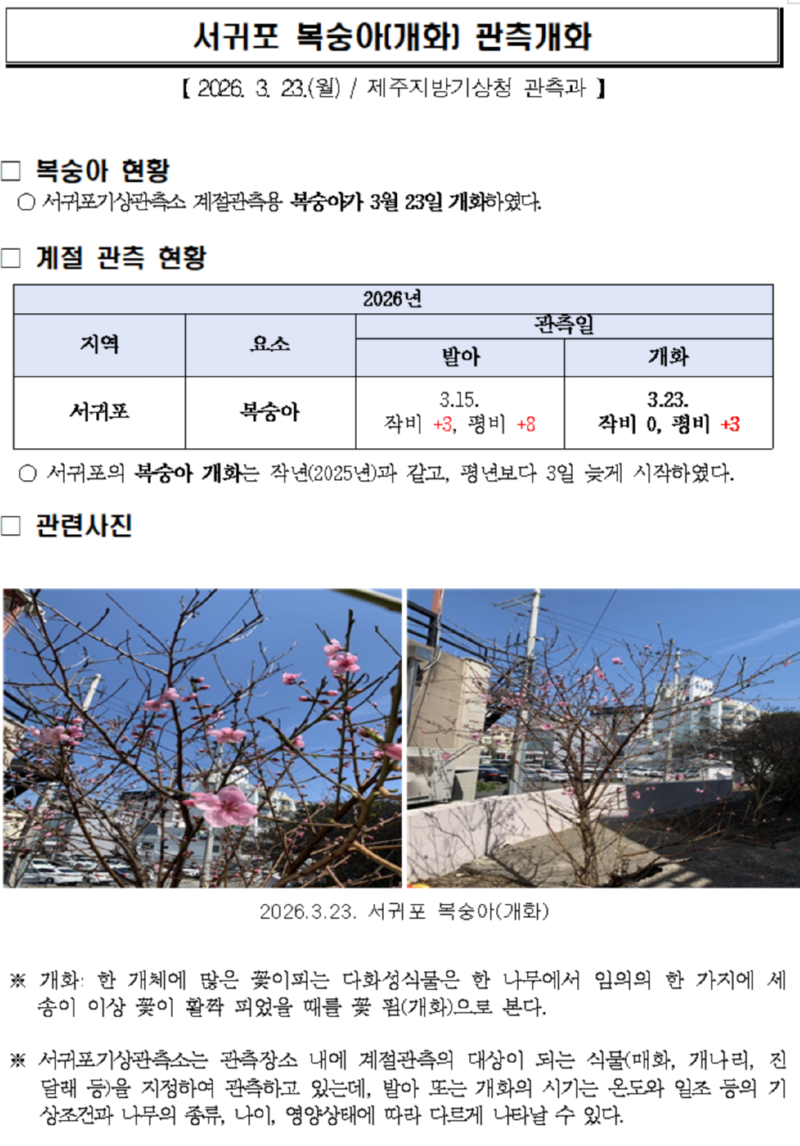 스크린샷 2026-03-23_1 133018.png