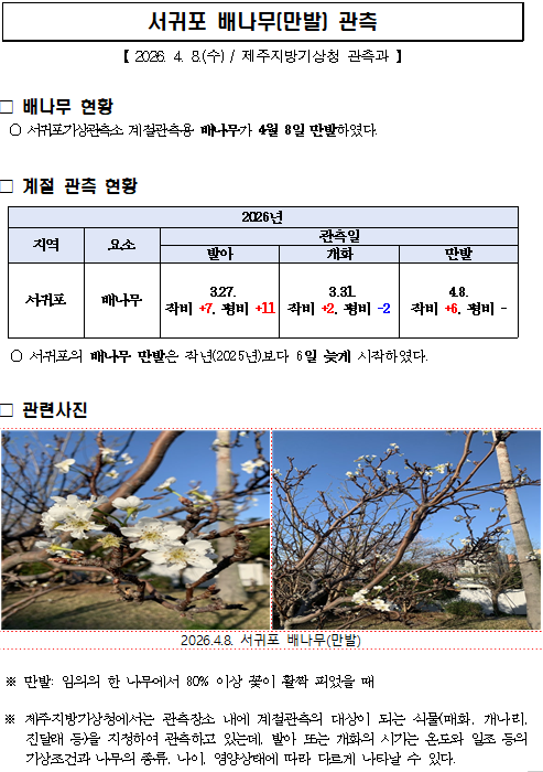 스크린샷 2026-04-08 배나무.png