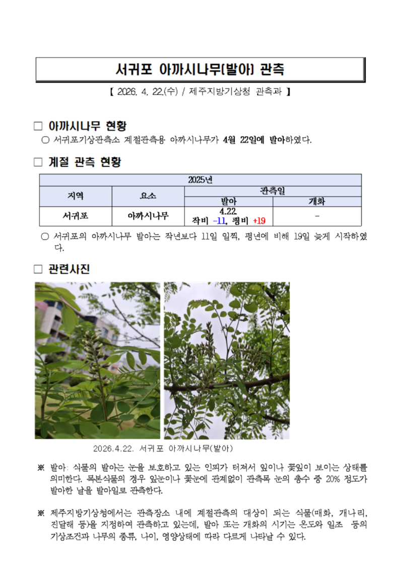 아까시발아 캡처(2026.04.22).png