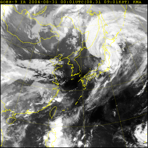 위성 사례 영상 bri200408310001.gif
