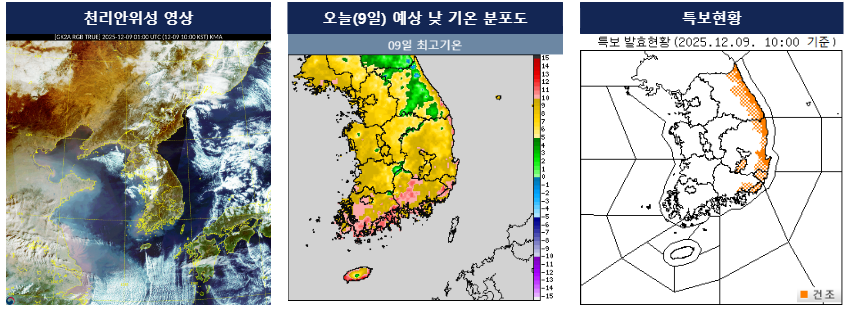 위성 영상, 오늘 예상 낮 기온 분포도, 특보현황