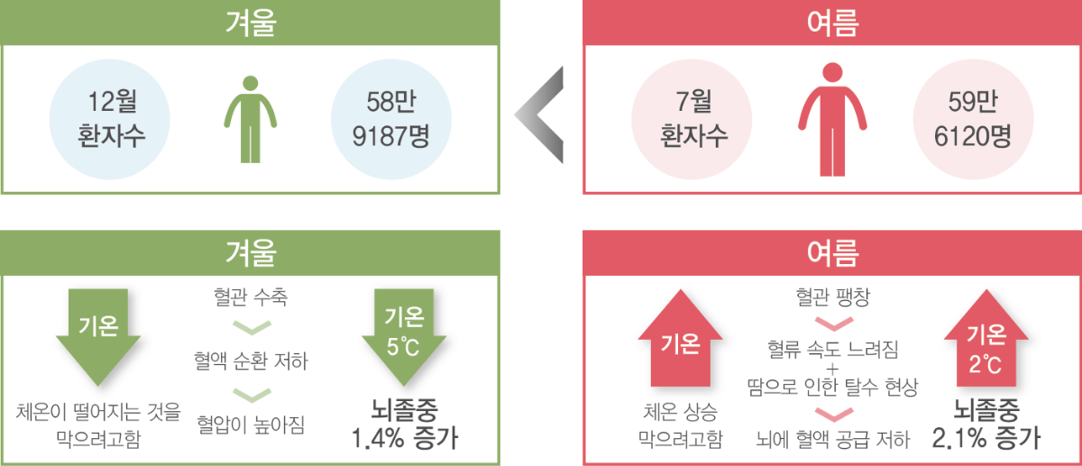 계절별 뇌졸중 발생 특징 도표