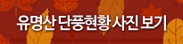 유명산 단풍현황 사진보기